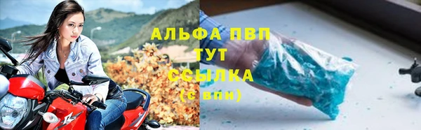 PSILOCYBIN Елизово