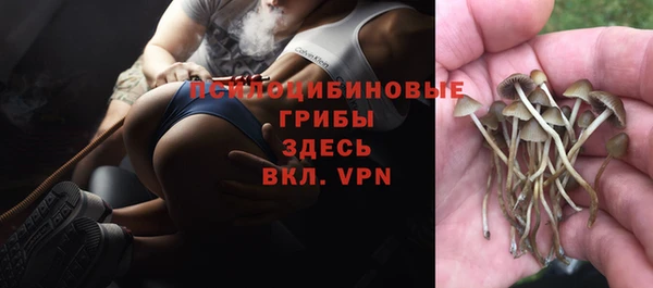 а пвп мука Ельня