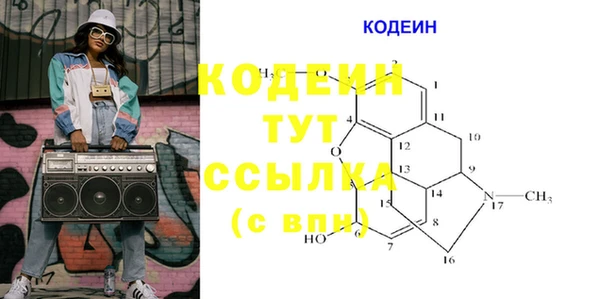 сатива Елабуга