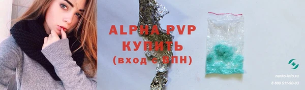 сатива Елабуга