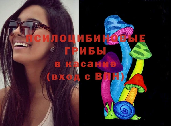 а пвп мука Ельня
