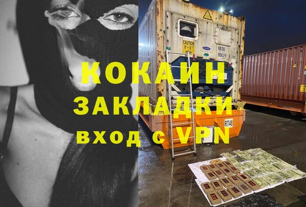 сатива Елабуга