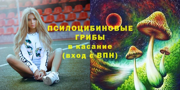 PSILOCYBIN Елизово