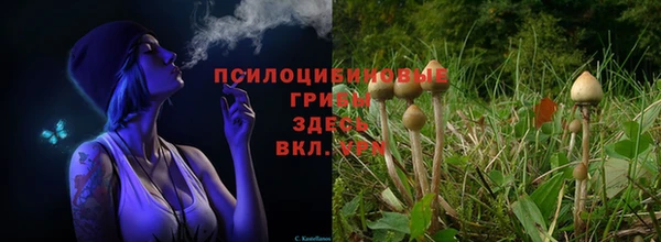 а пвп мука Ельня