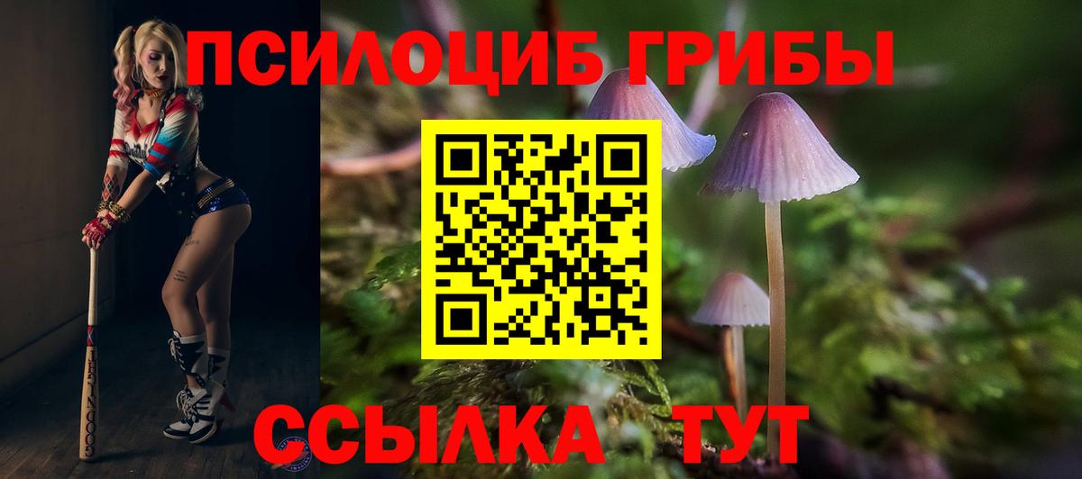 Тулун  Псилоцибиновые грибы ЛСД  Вход с VPN 